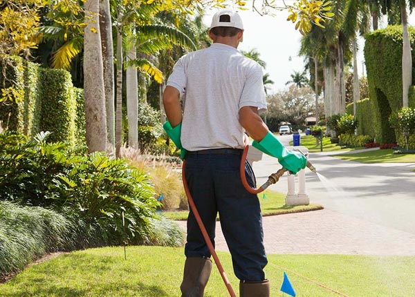 About Seaton IL Pest Control Pros